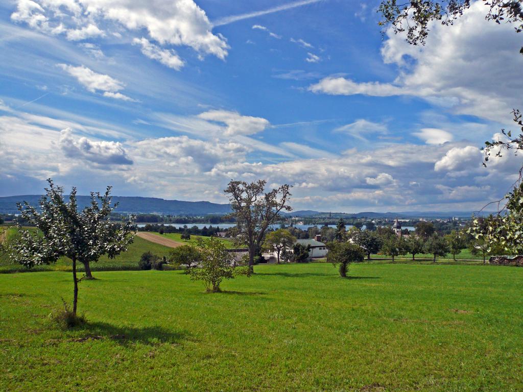Naturfreundehaus Bodensee 라돌프젤암보덴시 외부 사진