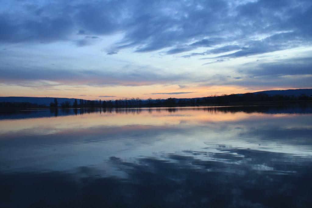 Naturfreundehaus Bodensee 라돌프젤암보덴시 외부 사진